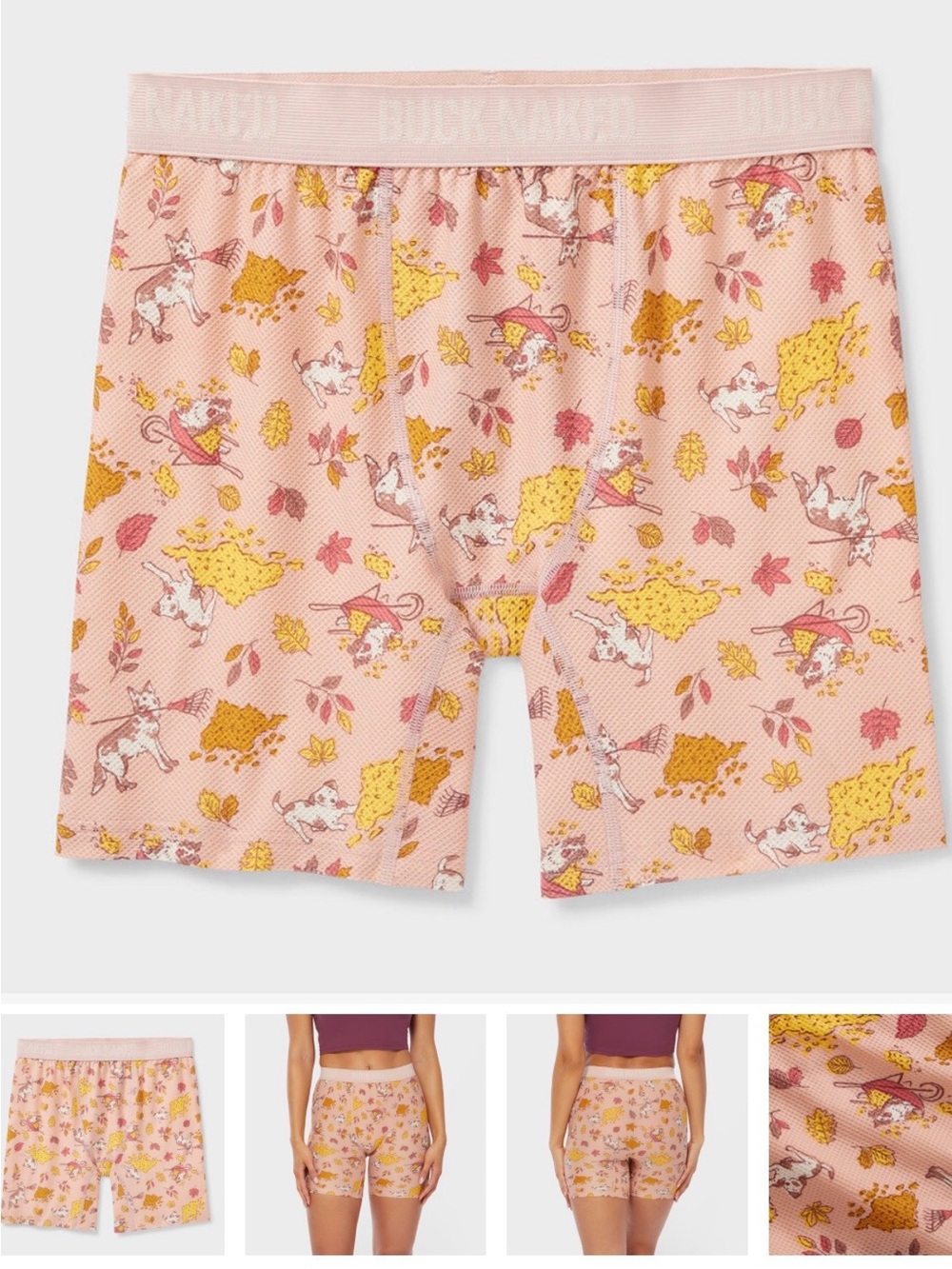 Duluth Buck Naked Long Boxer Briefs - Light Pink Fall Dogs